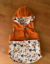 Load image into Gallery viewer, Upcycled Wool Vest size 5