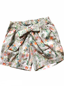 Pixie Shorts size 8 & 10